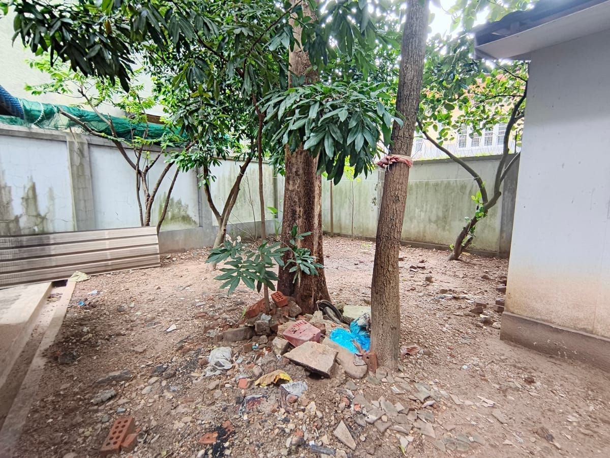 Garden before