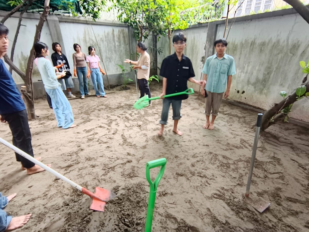 Garden in progress