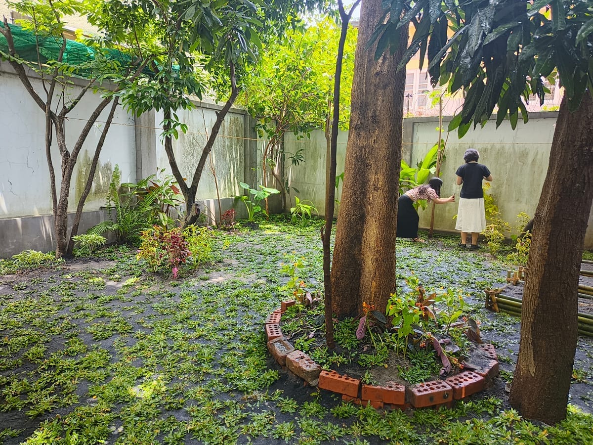 Garden Overview